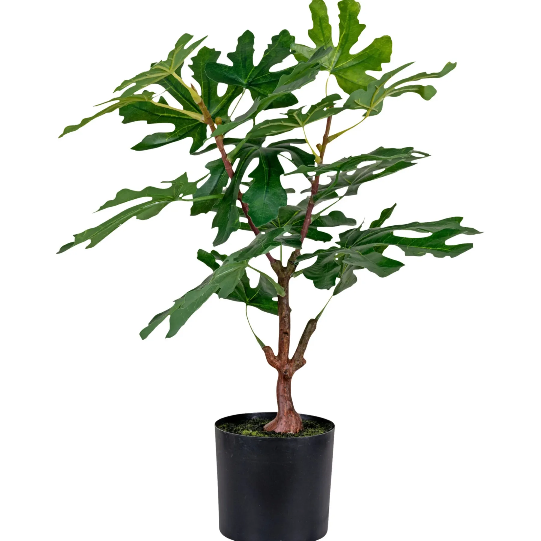 Boligindretning ^ Boliginteriør BOLIGINTERIØR FIGENTRÆ KUNSTIG PLANTE 53 CM