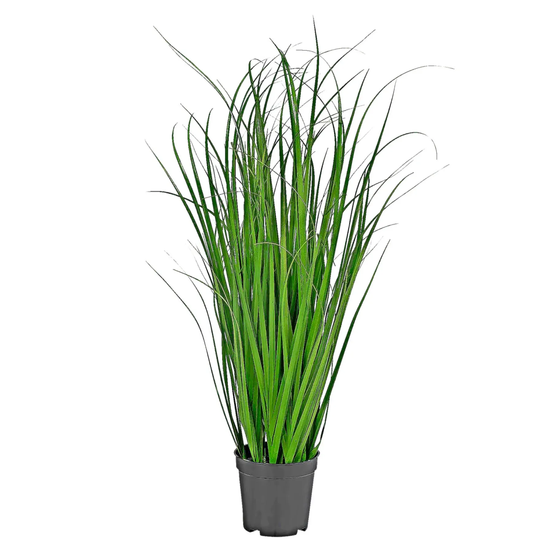 Boligindretning ^ Boliginteriør BOLIGINTERIØR GRÆS KUNSTIG PLANTE 68 CM