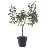 BOLIGINTERIØR OLIVENTRÆ KUNSTIG PLANTE 61 CM>Boliginteriør Outlet