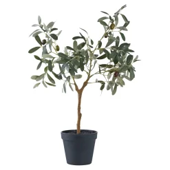 BOLIGINTERIØR OLIVENTRÆ KUNSTIG PLANTE 61 CM>Boliginteriør Outlet