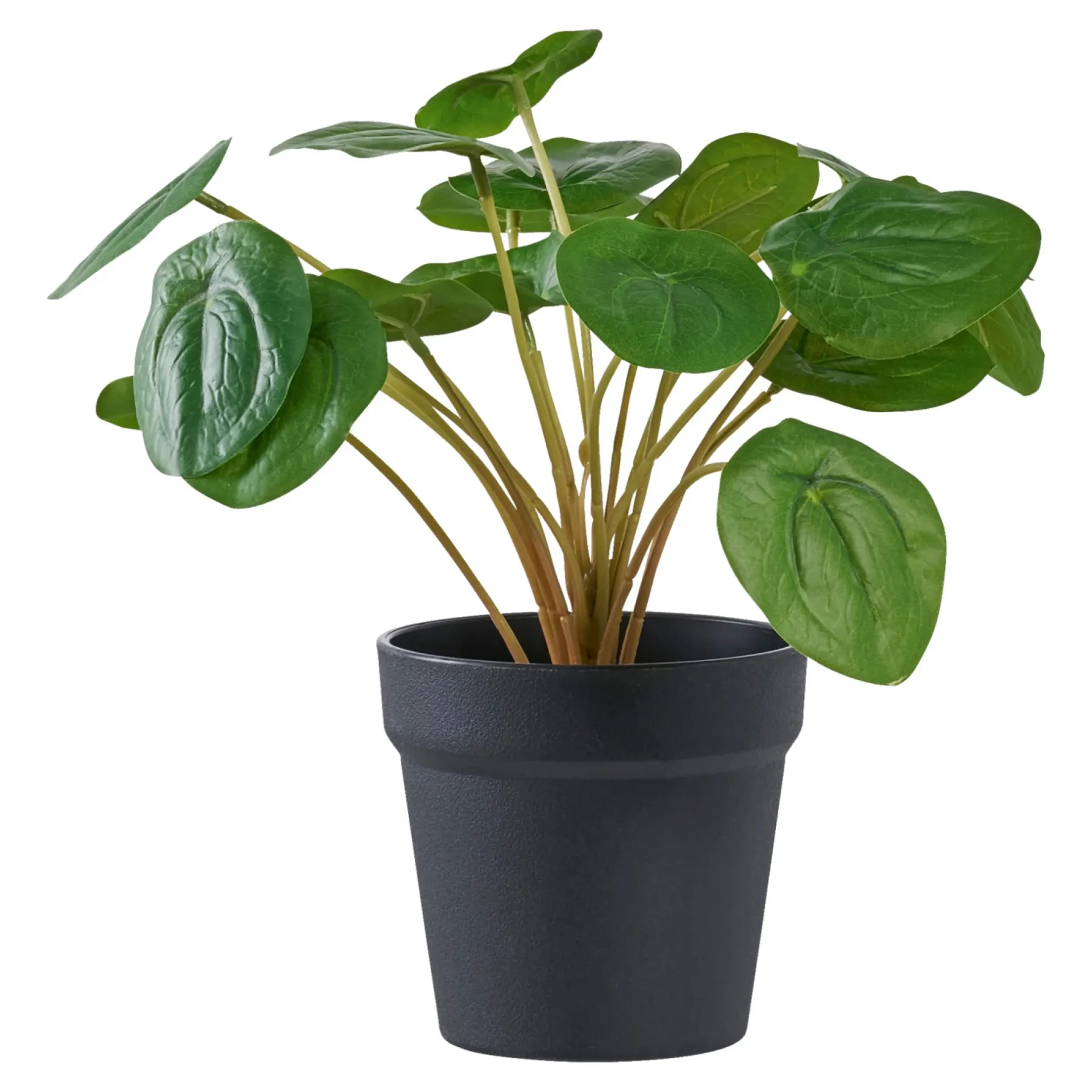 BOLIGINTERIØR PELIA KUNSTIG PLANTE 28 CM>Boliginteriør Hot