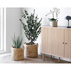 BOLIGINTERIØR STINE SKAB NATUR 79 X 40 X 140 CM>Boliginteriør Hot