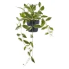 BOLIGINTERIØR VOKSBLOMST KUNSTIG PLANTE 33 CM>Boliginteriør
