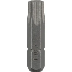 Tilbehør Elværktøj ^ Bosch DIY 2609255938 BITS T40 5