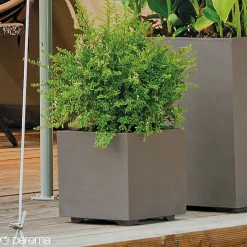 MILLENIUM 208-623 PLANTEKASSE PLASTIK SANDSTEN 49X49X49 CM>Deroma