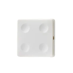 Smart Belysning ^ FESH SMART HVID SWITCH