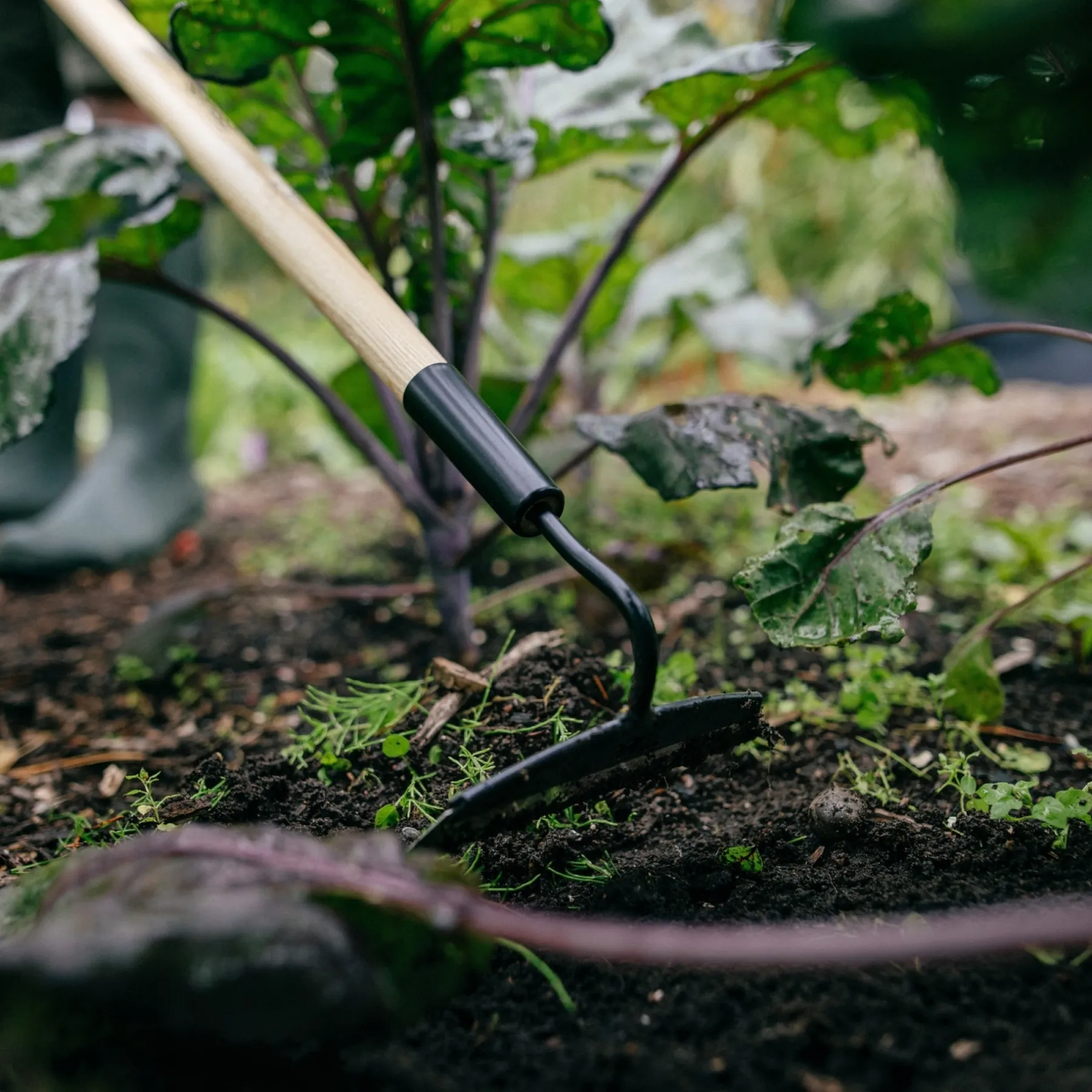 Haveredskaber ^ Fiskars PRIMA HAKKE