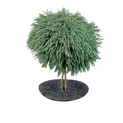 Græskanter ^ Garden Life GRÆSKANT Ø50XH7 CM