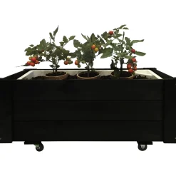 KAPILÆRKASSESKJULER SORT>Garden Life Outlet