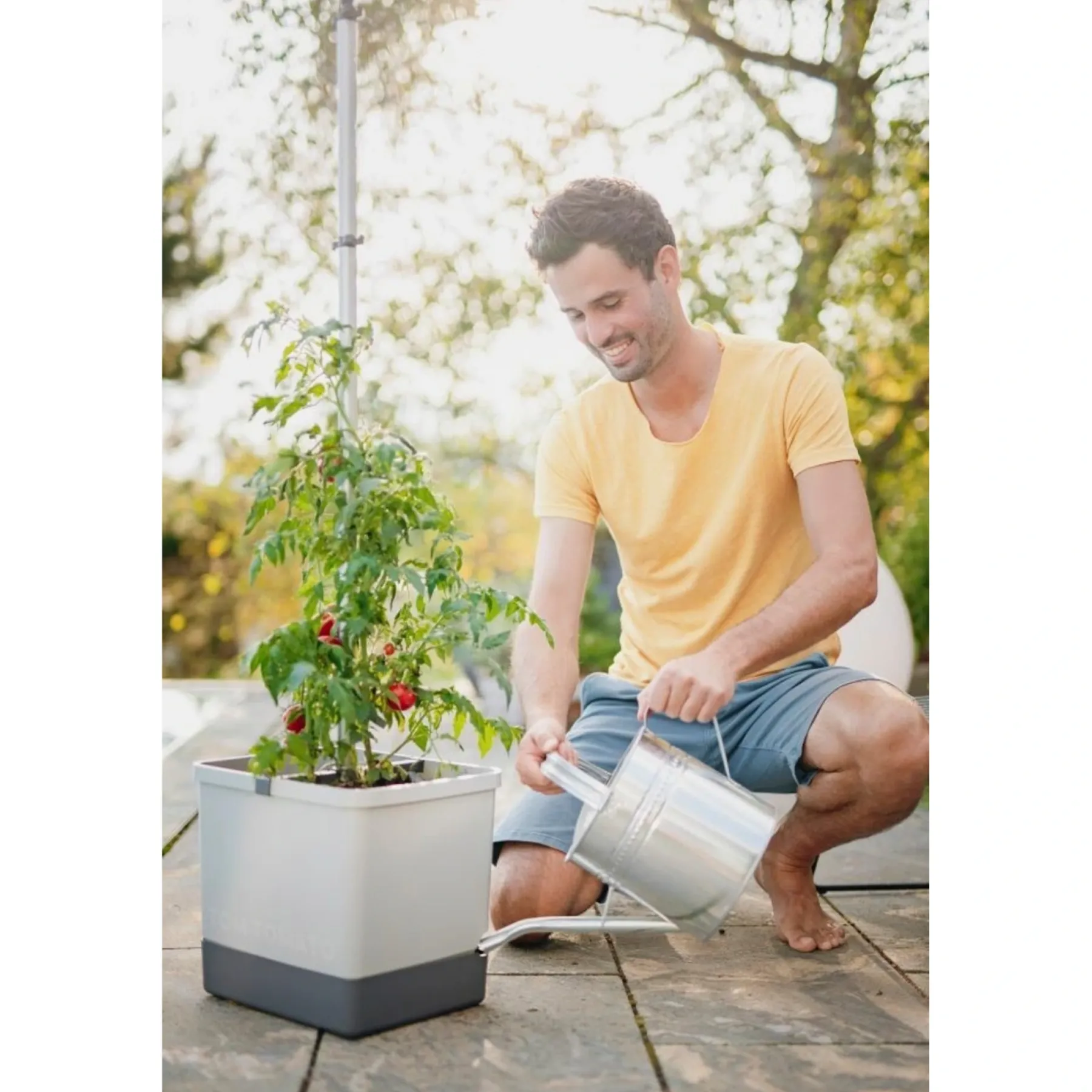 TOMAT PLANTEKASSE L34,7XB27,7XH135,4 CM>Garden Life Sale