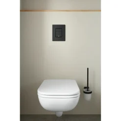 SKATE COSMOPOLITAN BETJENINGSPLADE MAT SORT>Grohe