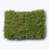 Grønne Tage ^ GrowTek SEDUMBAKKE