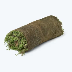 TIL HAVEN OG BUNDDÆKKE SEDUMMÅTTE>GrowTek New
