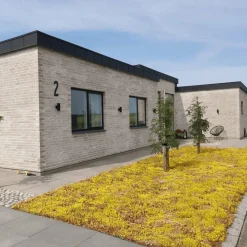 TIL HAVEN OG BUNDDÆKKE SEDUMMÅTTE>GrowTek New