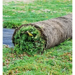 TIL HAVEN OG BUNDDÆKKE SEDUMMÅTTE>GrowTek New