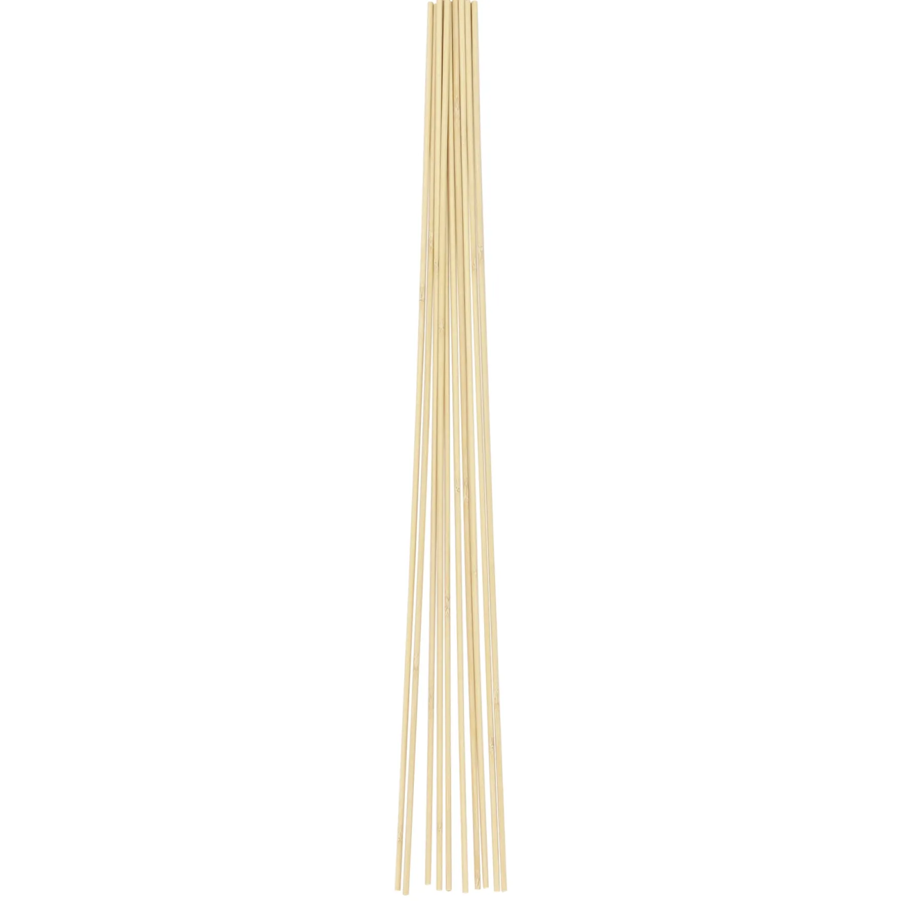 Frø & Spiring ^ HOME it GARDEN BLOMSTERPINDE 50 CM