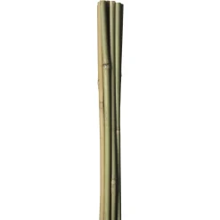 BAMBUSPINDE 90 CM>HOME it GARDEN Outlet