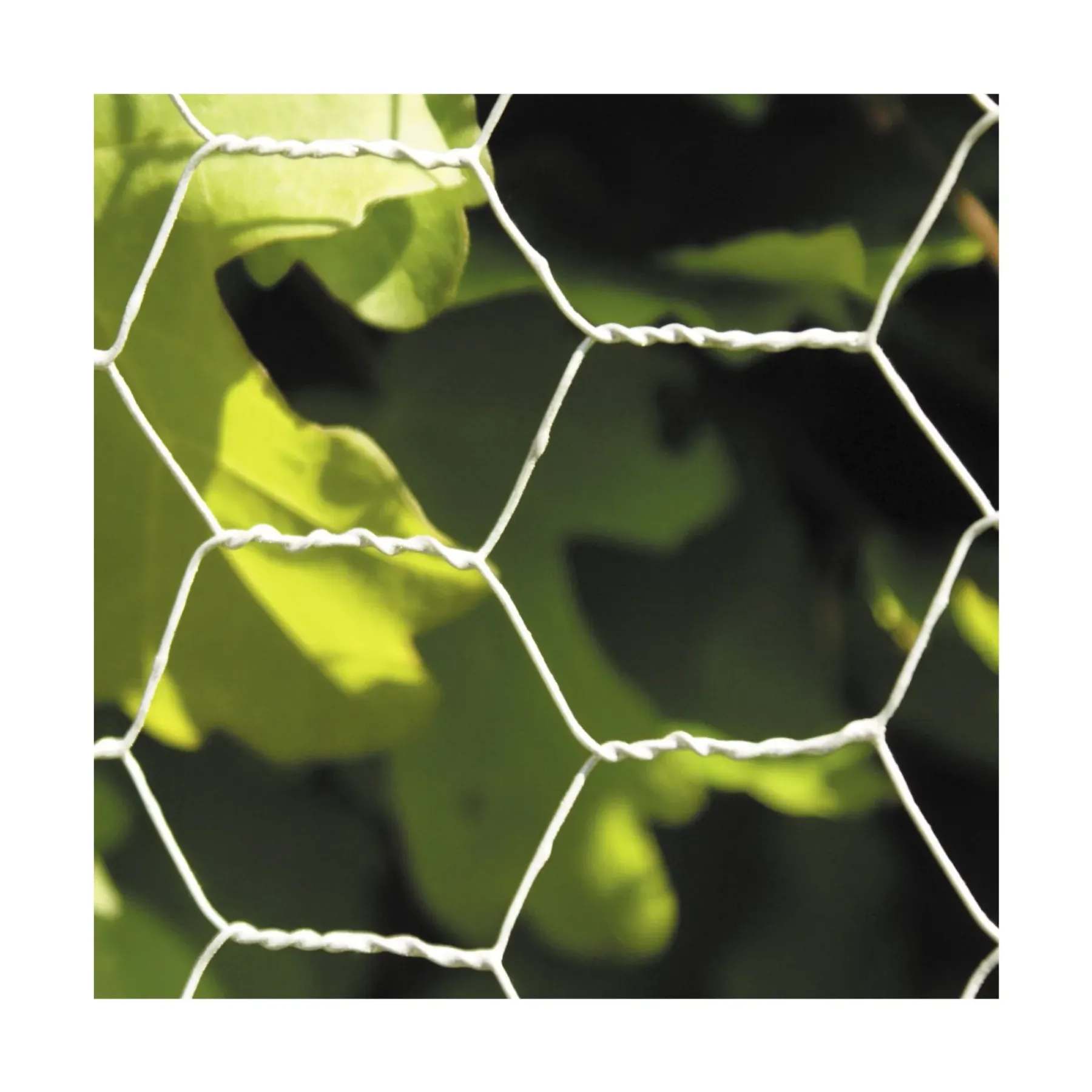 Trådhegn & Volierenet ^ Hortus HØNSETRÅD GALVANISERET 0.90 X 30 M 50 MM