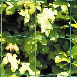 PVC FRI TRÅDHEGN GRØN PLASTBELAGT 0.60 X 20 M>Hortus Online