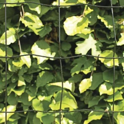 PVC FRI TRÅDHEGN SORT PLASTBELAGT 0.90 X 20 M>Hortus
