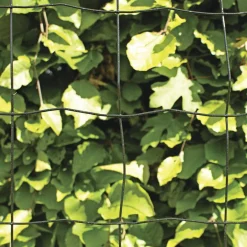 PVC FRI TRÅDHEGN SORT PLASTBELAGT 0.60 X 20 M>Hortus Outlet
