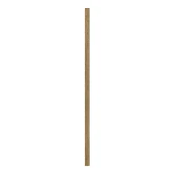 AFSLUTNINGSLISTE EG, MØRKEBRUN OLIE 17 X 67 X 2400 MM>I-Wood Hot