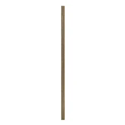 Akustikpanel ^ I-Wood AFSLUTNINGSLISTE EG, SORT OLIE 16 X 67 X 2400 MM