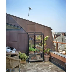 CITY GREENHOUSE VÆGDRIVHUS 4 MM HÆRDET GLAS HELE BANER SORT 0,32 M2>Juliana