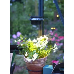 SOLAR LED LAMPE>Juliana Sale