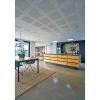 DESIGNPANEL G1F, UBEH. FAS4 AKUSTIKLOFT 13 X 900 X 2700 MM>Knauf New