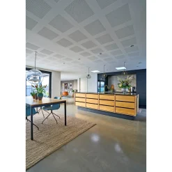 DESIGNPANEL G1F, UBEH. FAS4 AKUSTIKLOFT 13 X 900 X 2700 MM>Knauf New