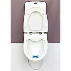 Toiletter ^ Laufen PRO N S-LÅS RIMLESS TOILET