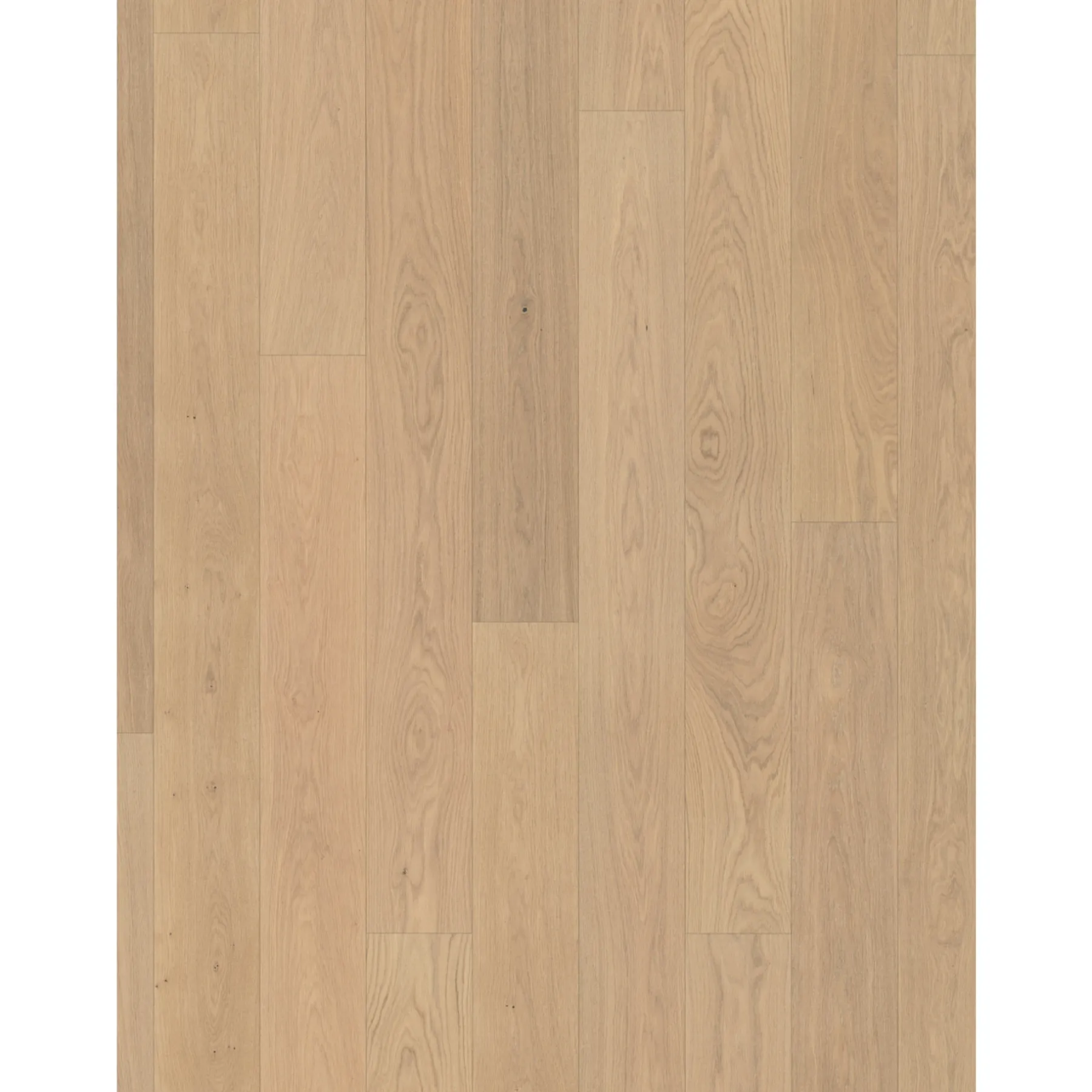 Trægulve ^ Parador CLASSIC 3060 LAMELPLANK PARKETGULV EG MATLAK NATUR