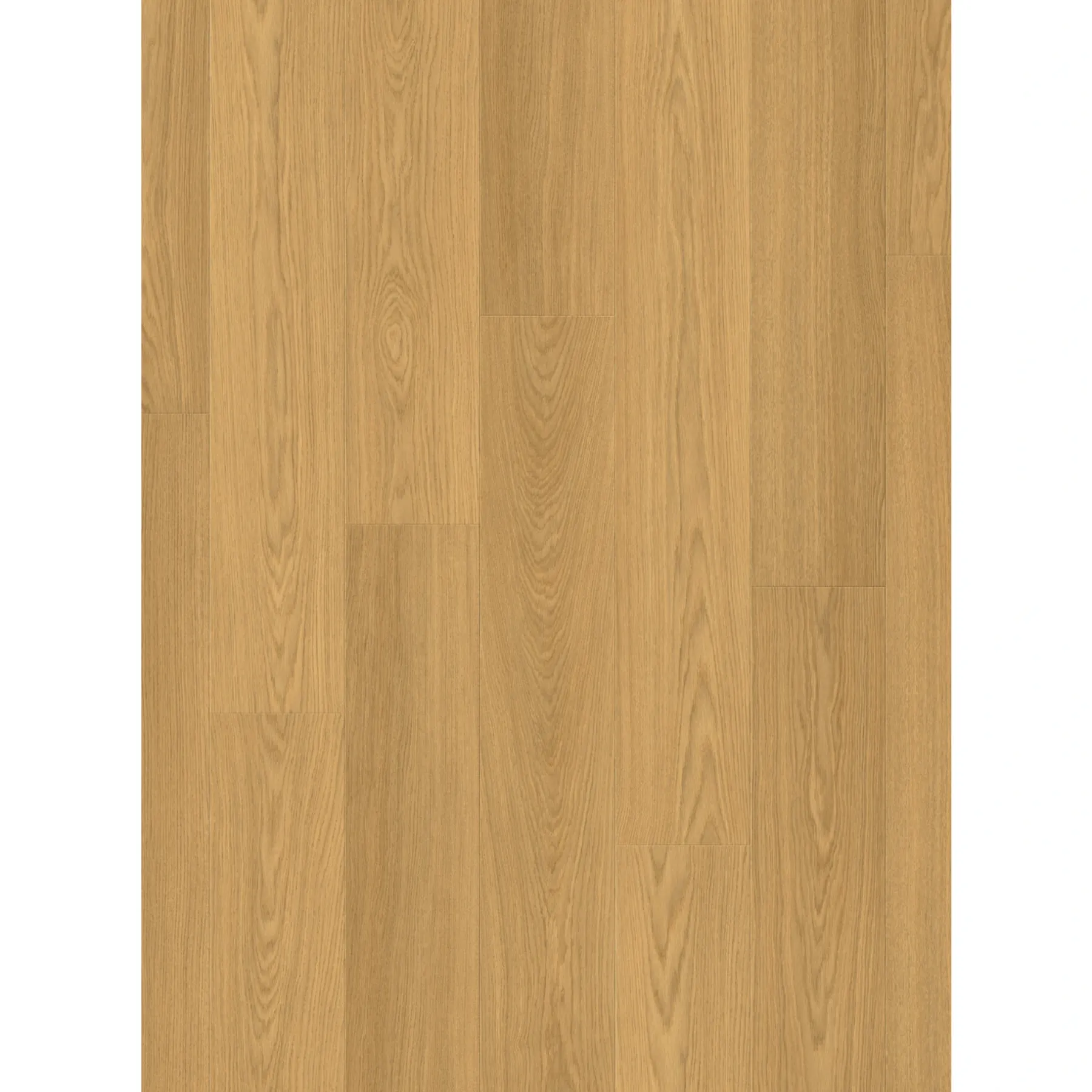 Laminatgulve ^ Pergo LILLEHAMMER LAMINATGULV SELECT OAK