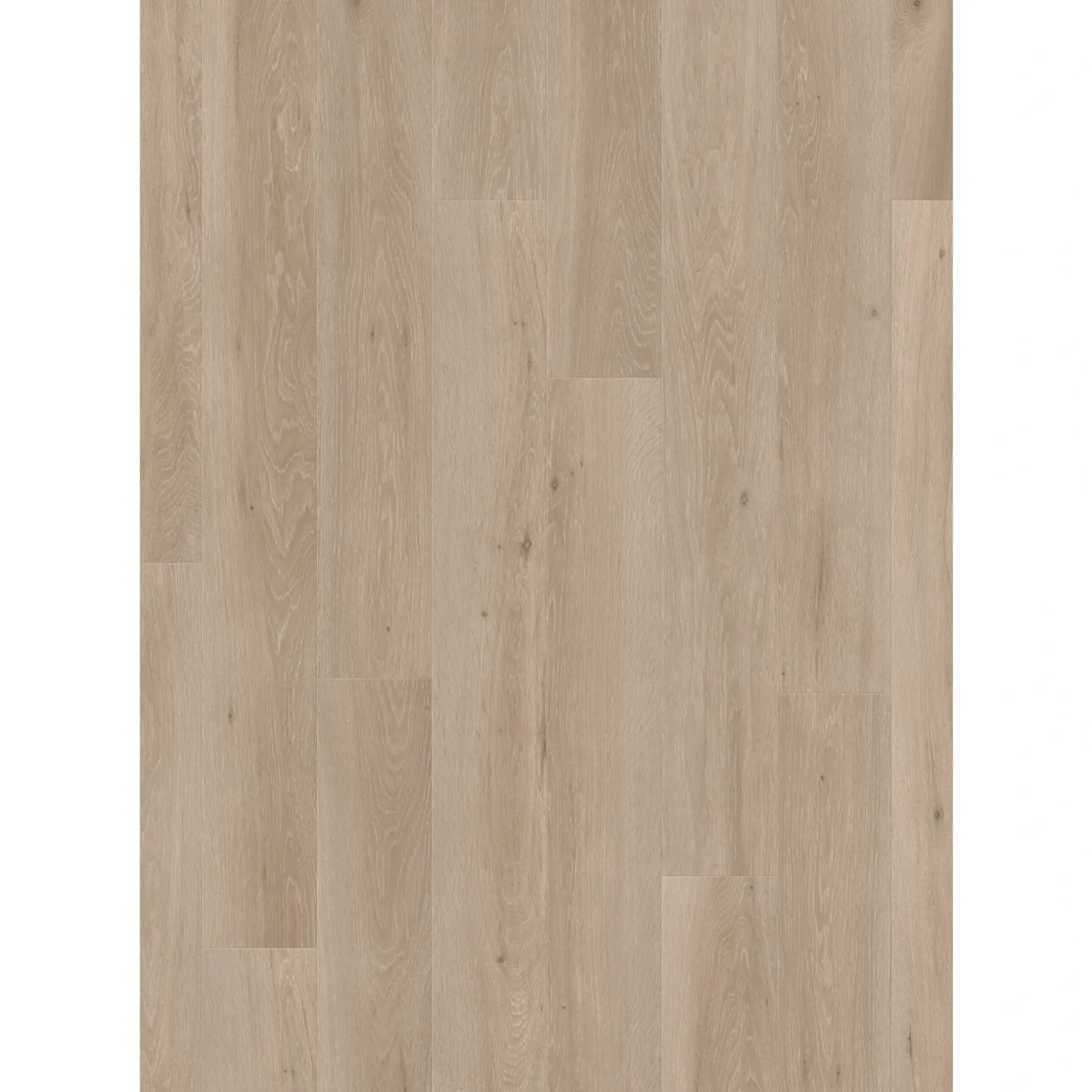 TRONDHEIM LAMINATGULV ROMANTIC GREIGE OAK>Pergo Clearance