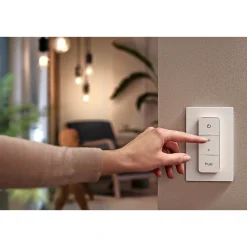 DIMMER HVID SWITCH>Philips Hue New