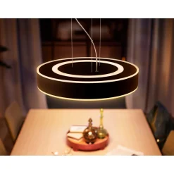WA ENRAVE PENDEL SORT 47 CM>Philips Hue Sale