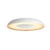WA STILL PLAFOND 23W HVID 39,1 CM>Philips Hue Best
