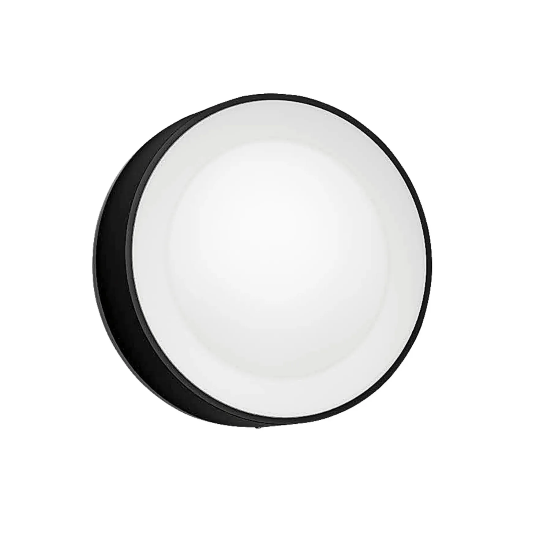 WCA DAYLO UDENDØRS VÆGLAMPE 15W SORT>Philips Hue Clearance