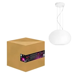 WCA FLOURISH PENDEL HVID 40,1 CM>Philips Hue Hot