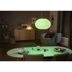 WCA FLOURISH PENDEL HVID 40,1 CM>Philips Hue Hot