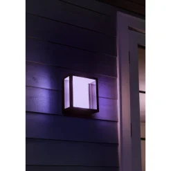WCA IMPRESS UDENDØRS VÆGLAMPE 16W SORT>Philips Hue Discount