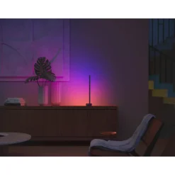 WCA WCA BORDLAMPE SORT 55,3 CM>Philips Hue