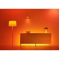 COLOR COLOR LED PÆRE E27 KRONE 5W>Philips Smart Sale