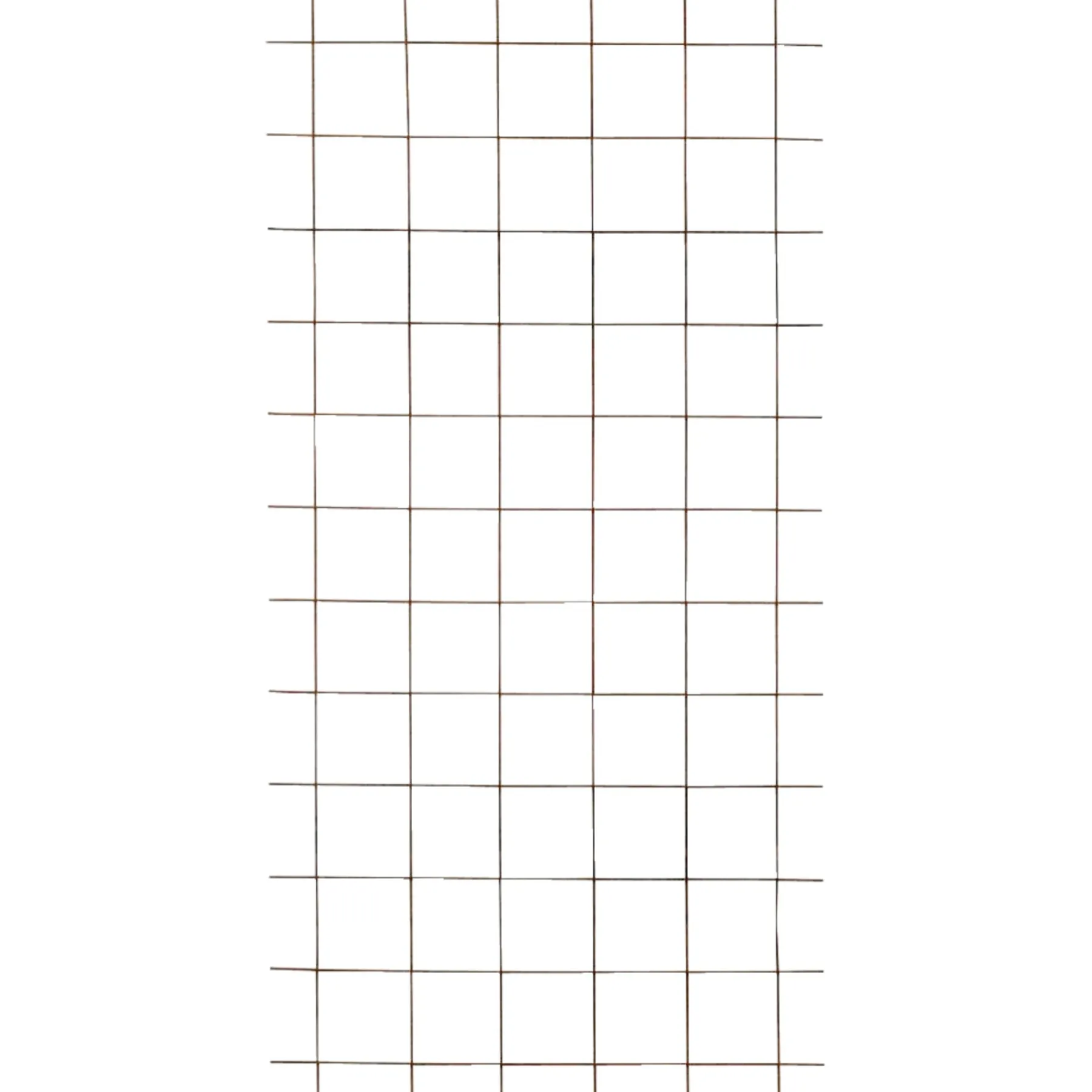 Tilbehør Hegn ^ Plus ESPALIER SORT STÅL SORT STÅL (RUSTER) 90 X 180 CM