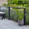 Tilbehør Hegn ^ Plus ESPALIER STÅL GALVANISERET LOOK 80 X 140 CM