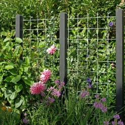 Tilbehør Hegn ^ Plus ESPALIER STÅL GALVANISERET LOOK 90 X 180 CM