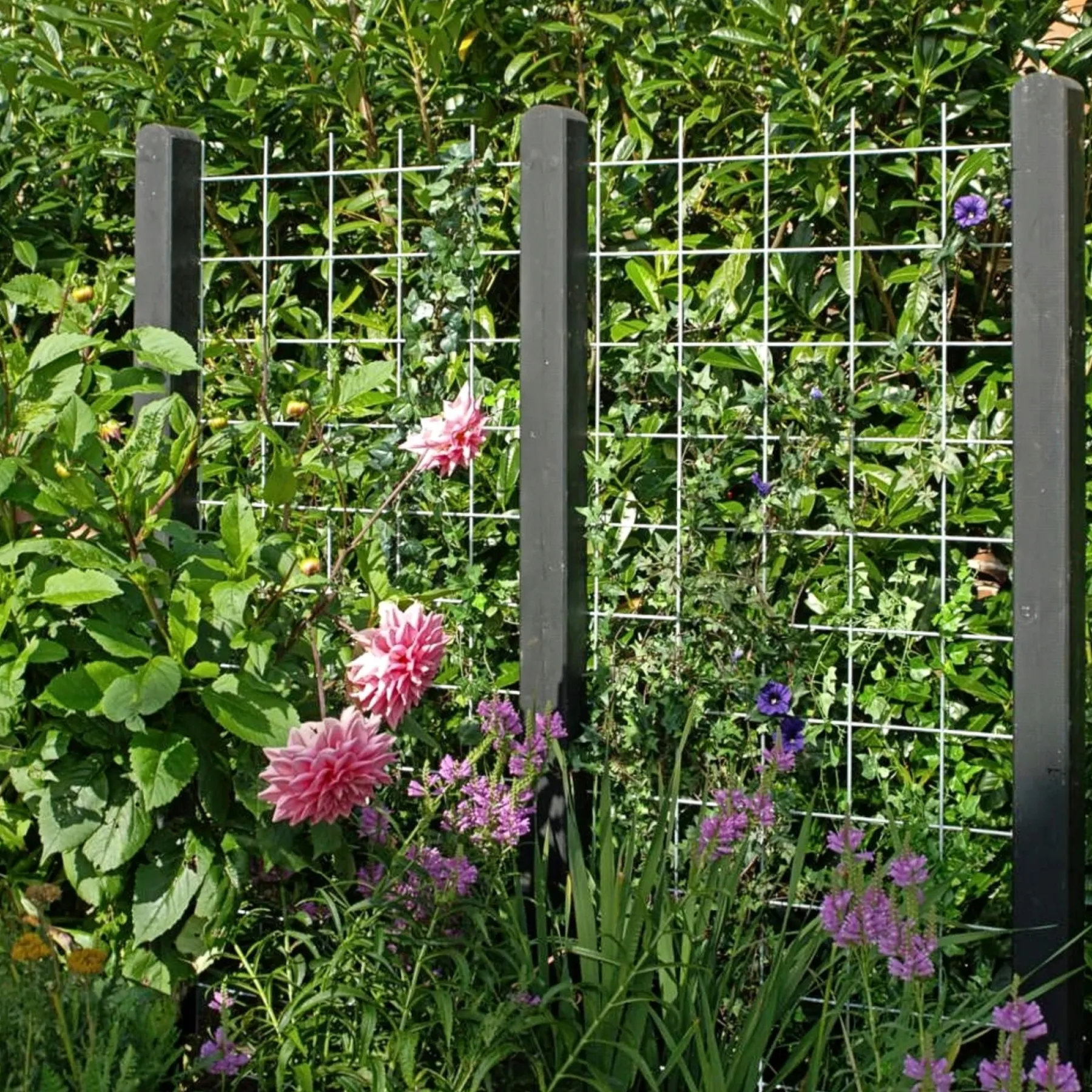 Tilbehør Hegn ^ Plus ESPALIER STÅL GALVANISERET LOOK 90 X 180 CM
