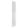 FLAT DOBBELT RADIATOR 292X1600MM>Prestige New