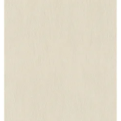 Tapet & Glasvæv ^ Rasch STUDIO 2027 ENSFARVET TAPET 0,53X10 M